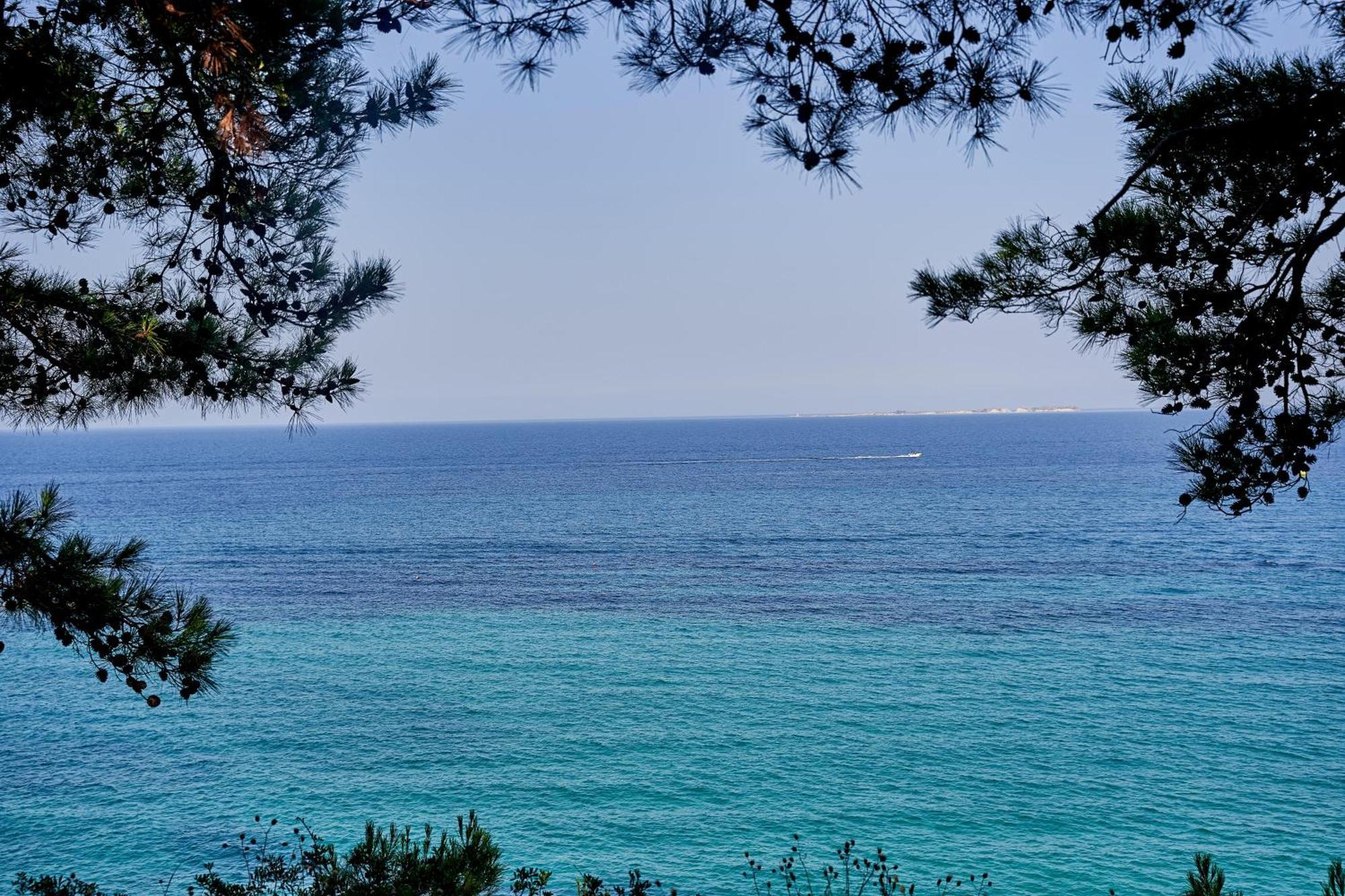 White Rocks Hotel Kefalonia Lassi  Eksteriør billede